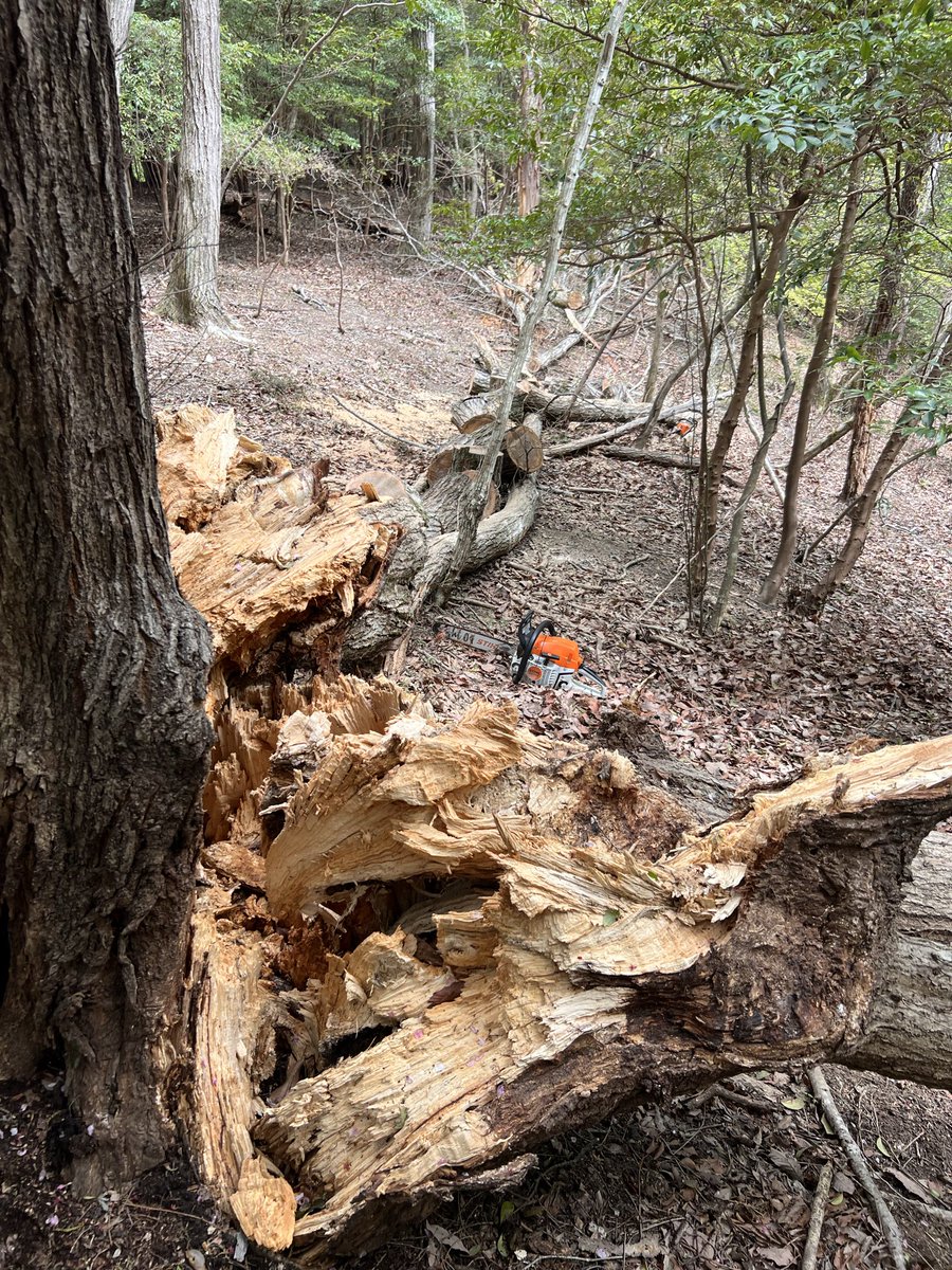 びーん tweet media