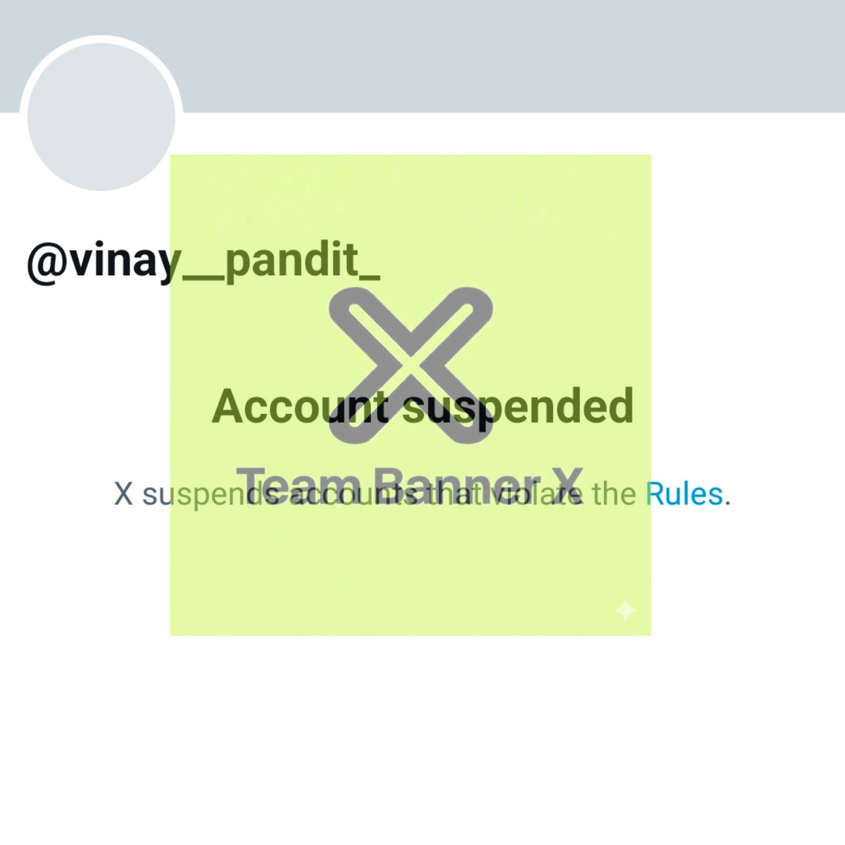 TEAM BANNER X ᴾᵃʳᵒᵈʸ tweet media