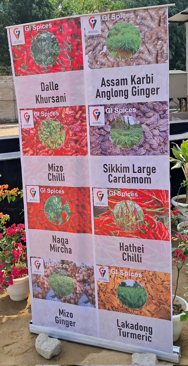 Dr P Baruah FounderWorld TeaEnthusiastsAssam India tweet media