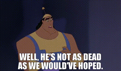 Olivia Hofer tweet media