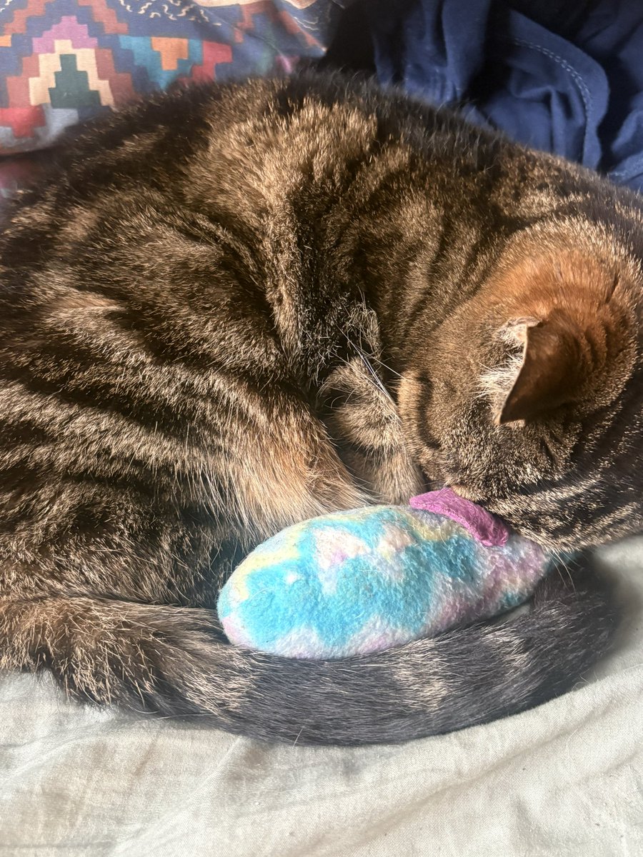 Providence #20 tweet media