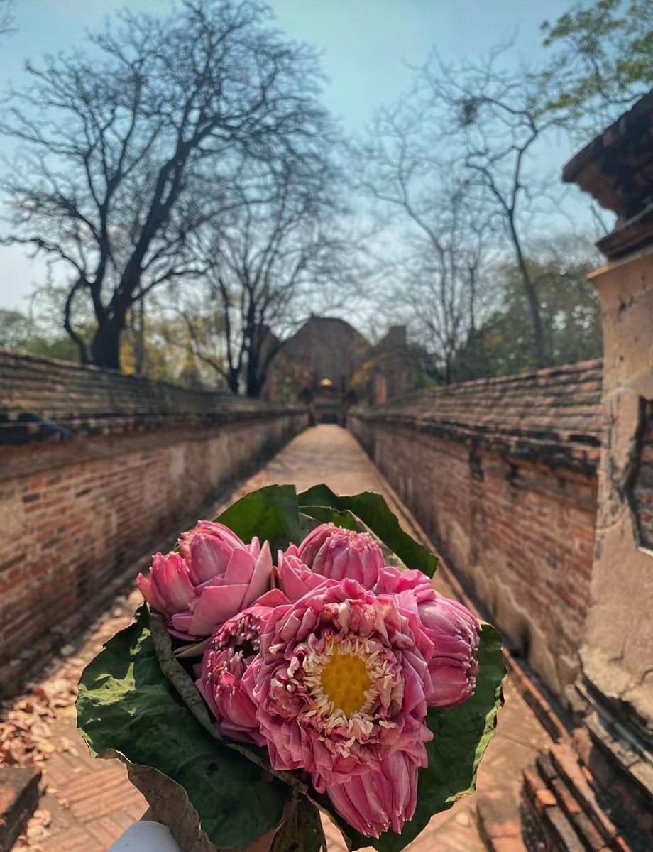 🖤NO FAKE FRIENDS🖤【𝗛𝗢𝗠𝗘𝗧𝗢𝗪𝗡】 tweet media