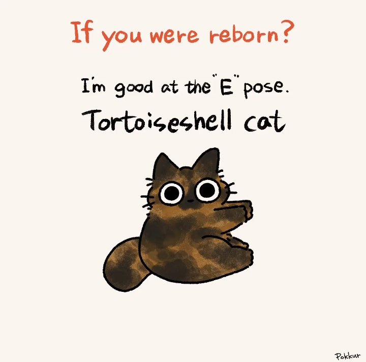 wen₊˚⊹ (gwienn) tweet media