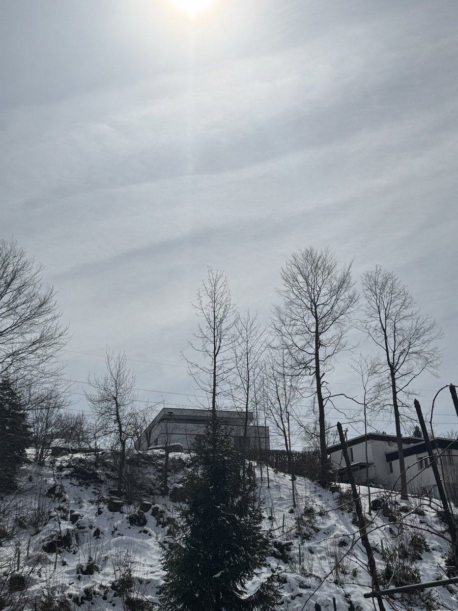 Just me #WhiteLivesMatter🇨🇭🇦🇹 🇩🇪 tweet media