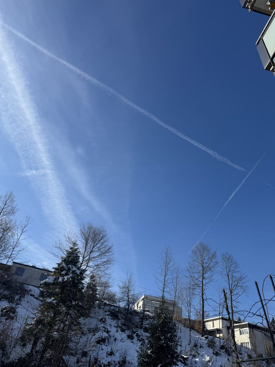 Just me #WhiteLivesMatter🇨🇭🇦🇹 🇩🇪 tweet media