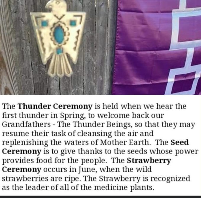 YaNative's tweet image. #YaNative