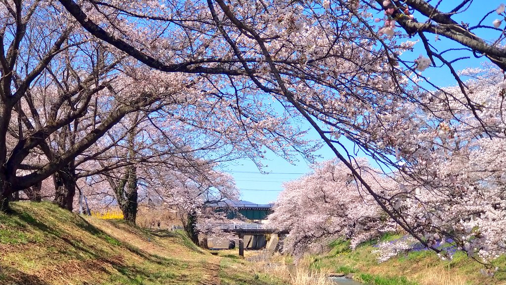 🌗100本🌗 tweet media