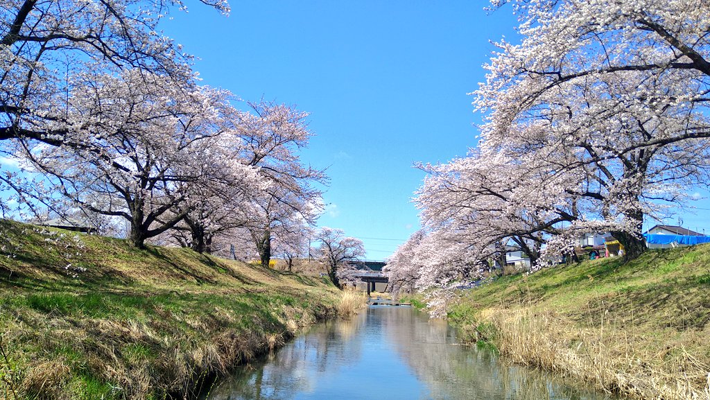 🌗100本🌗 tweet media