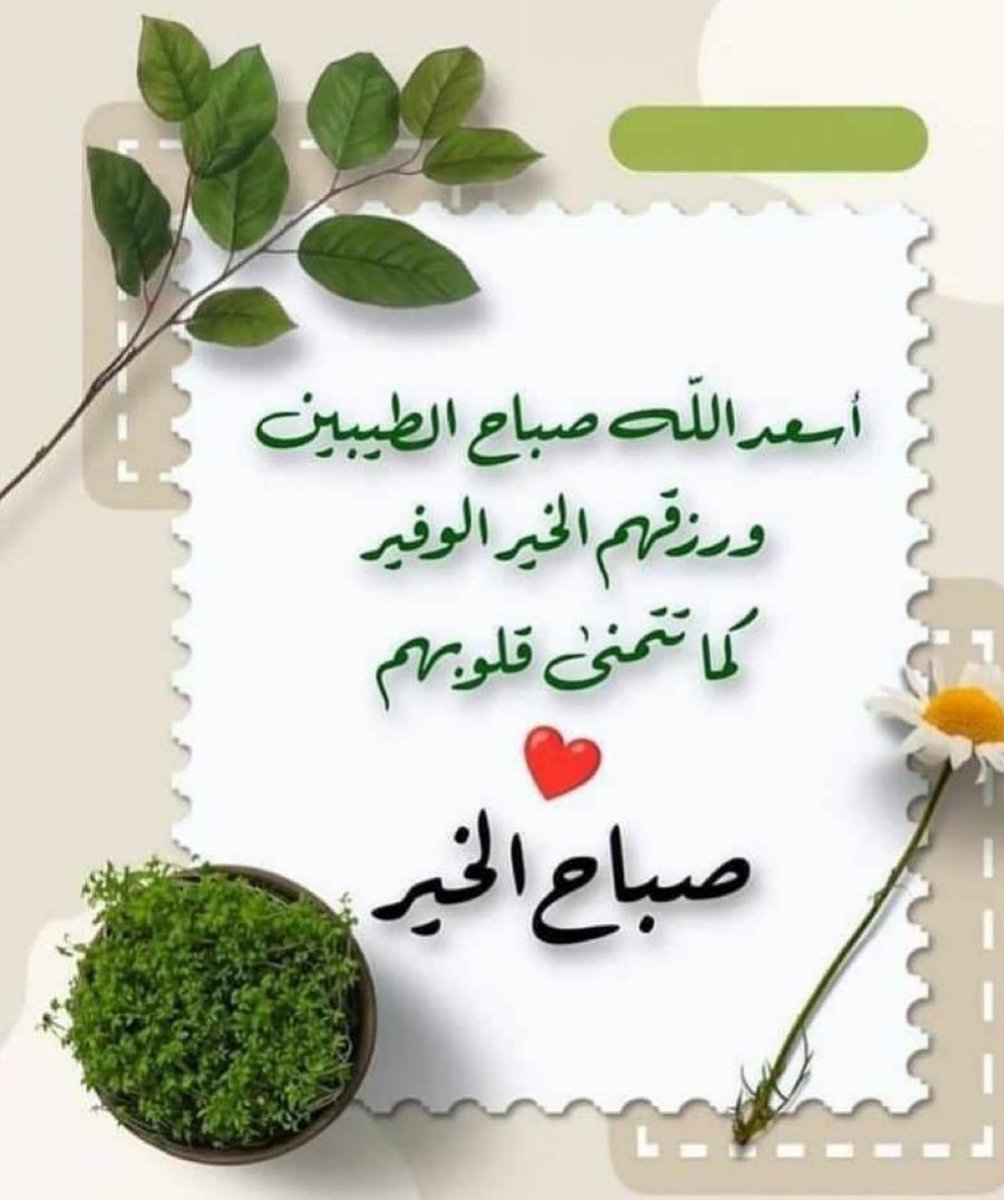 أبو ابرار tweet media