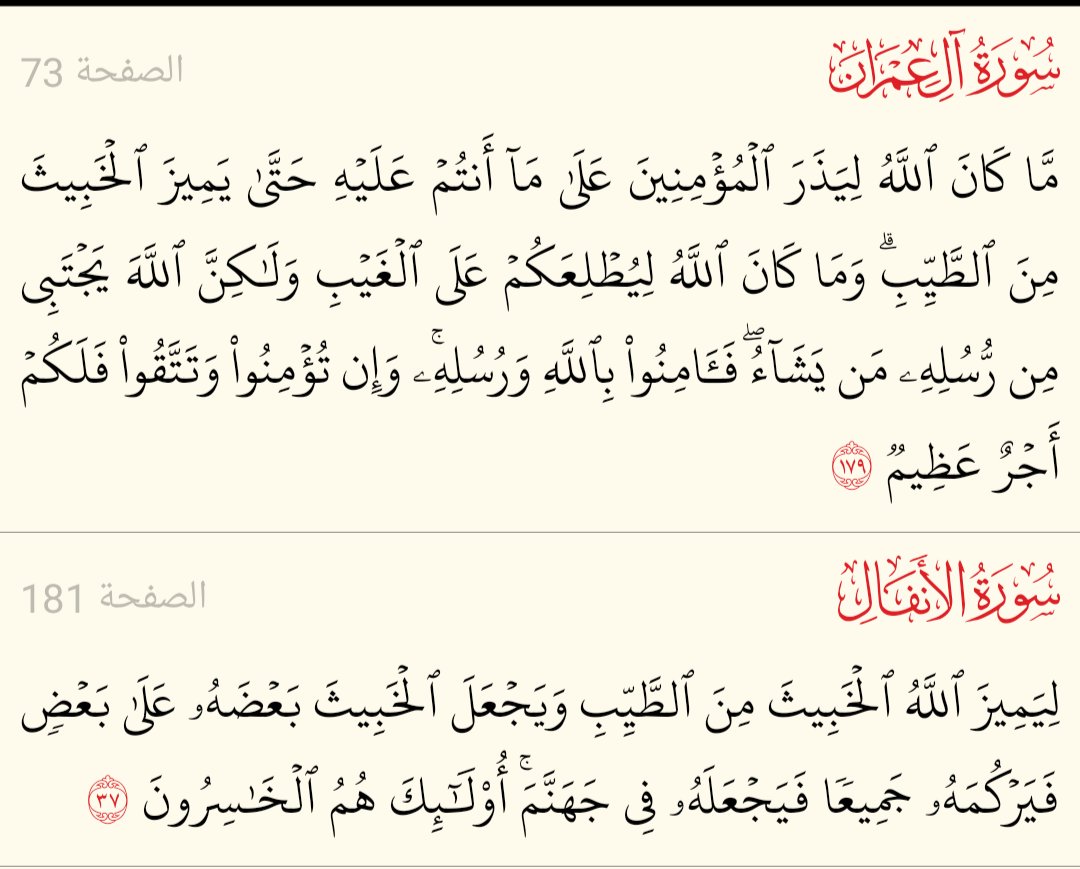 محمد آل دريب tweet media