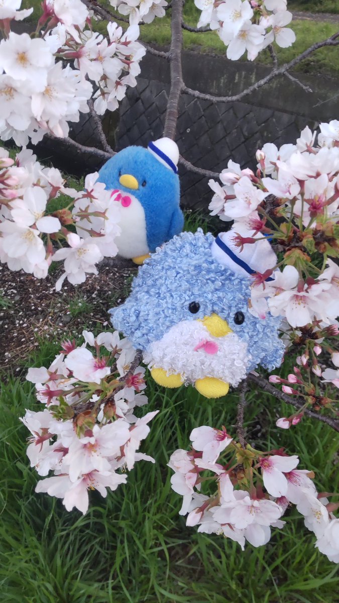 はとぽっぽ課長 tweet media