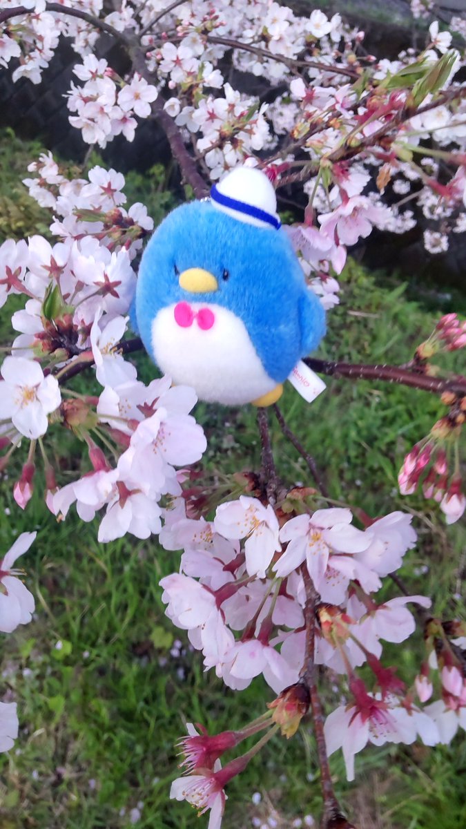 はとぽっぽ課長 tweet media