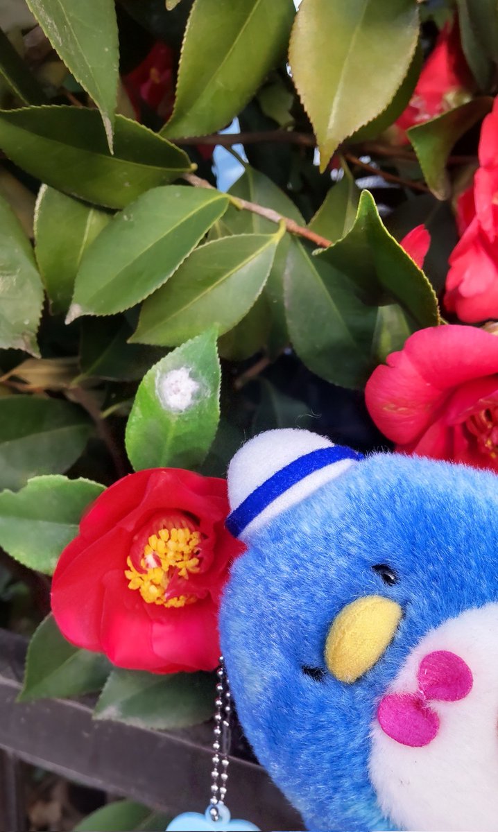 はとぽっぽ課長 tweet media