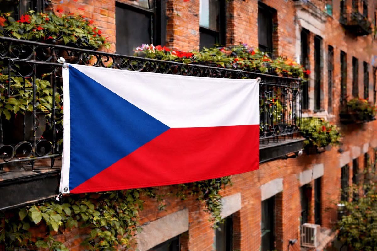 *fleur N. tweet media