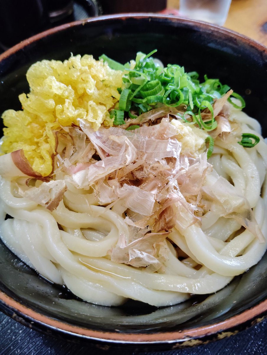 kimukazu_cats_i tweet media