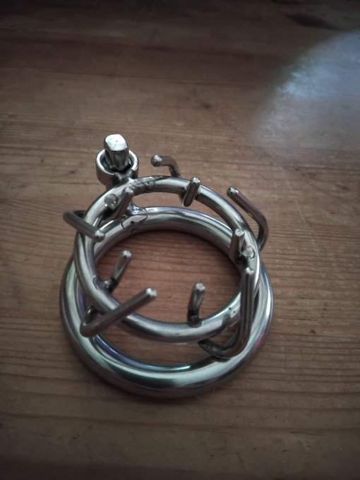 Sternwolf tweet media