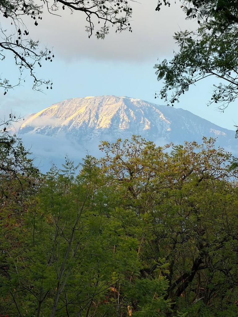 Visit Tanzania tweet media