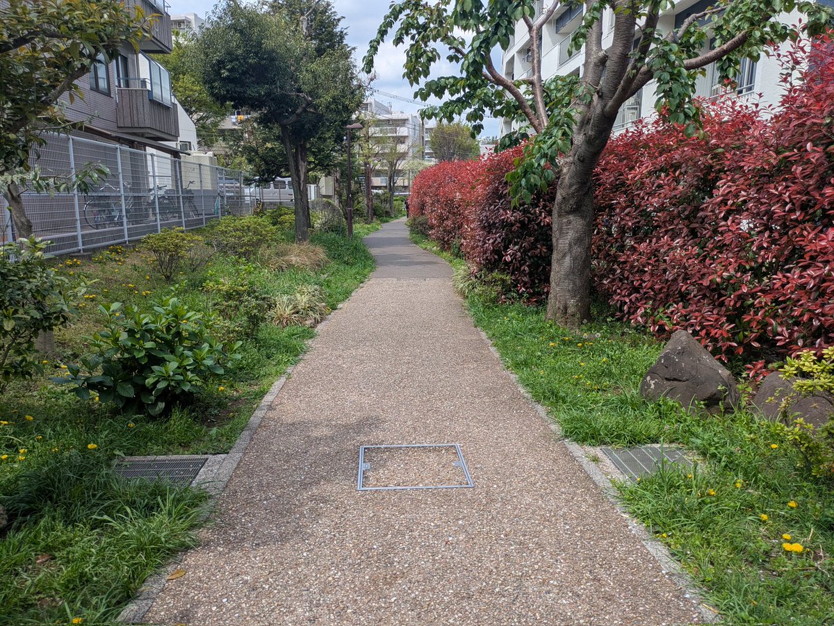 陽神 龍【左投げ転向13ヶ月ボウラー】 tweet media