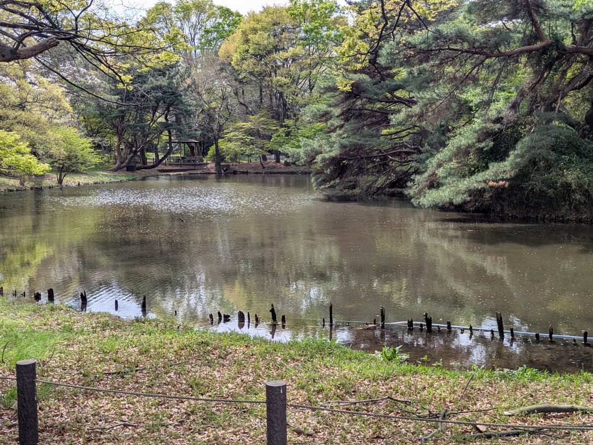 陽神 龍【左投げ転向13ヶ月ボウラー】 tweet media