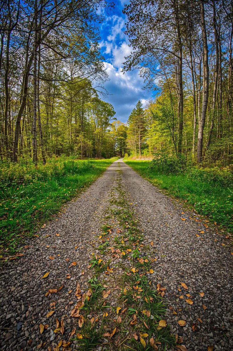 teisir baroud tweet media