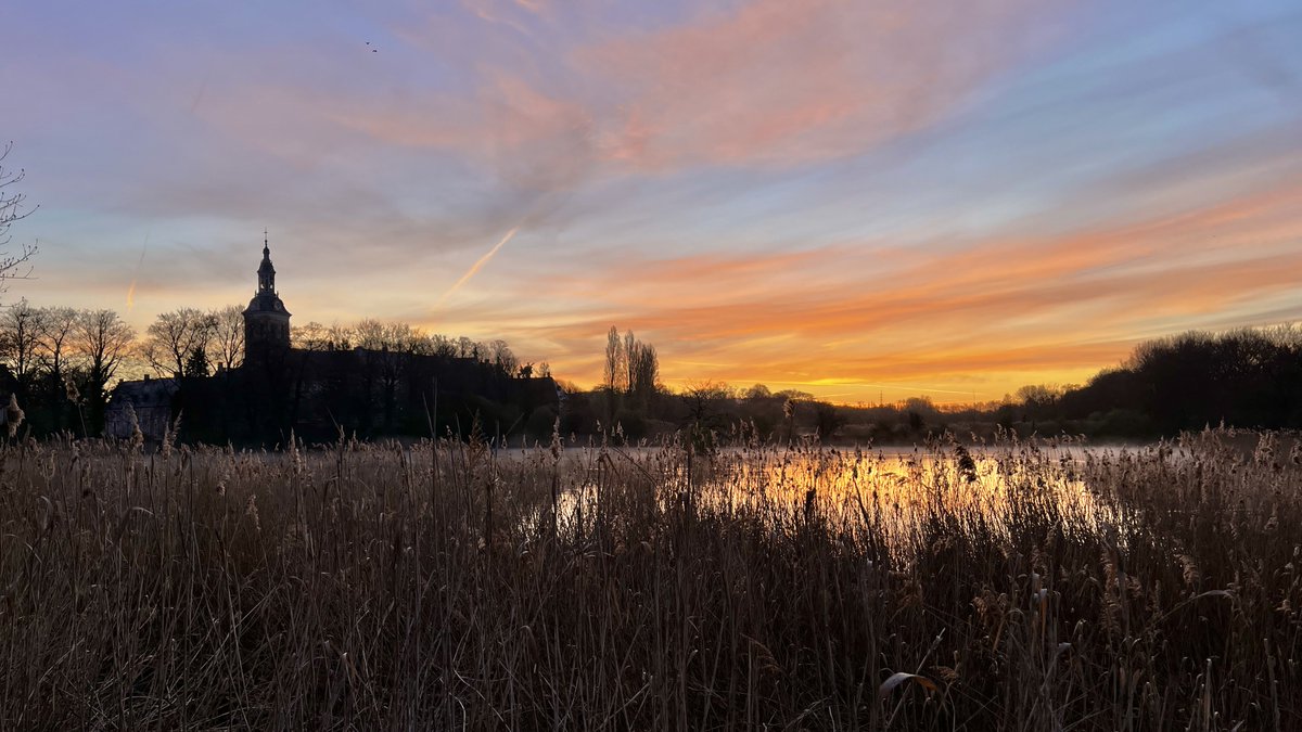 Johan Morren tweet media