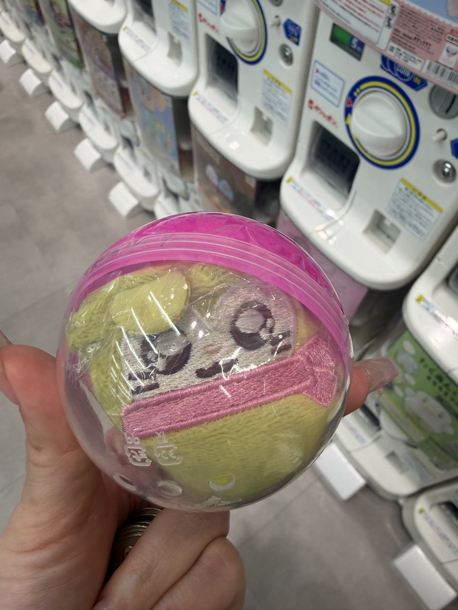 🦖🦊 tweet media