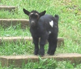 max 🕷️BRAND NEW DAY tweet media