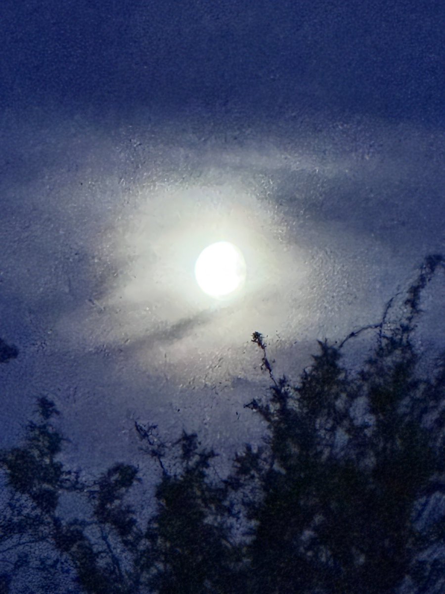 MrsS_Butcher's tweet image. Game day! #oufc #earlystart #together