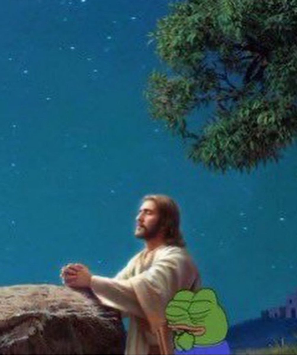 DerEnte 🍍🛡️ tweet media