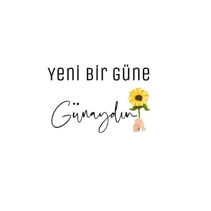 Silly Videos tweet media