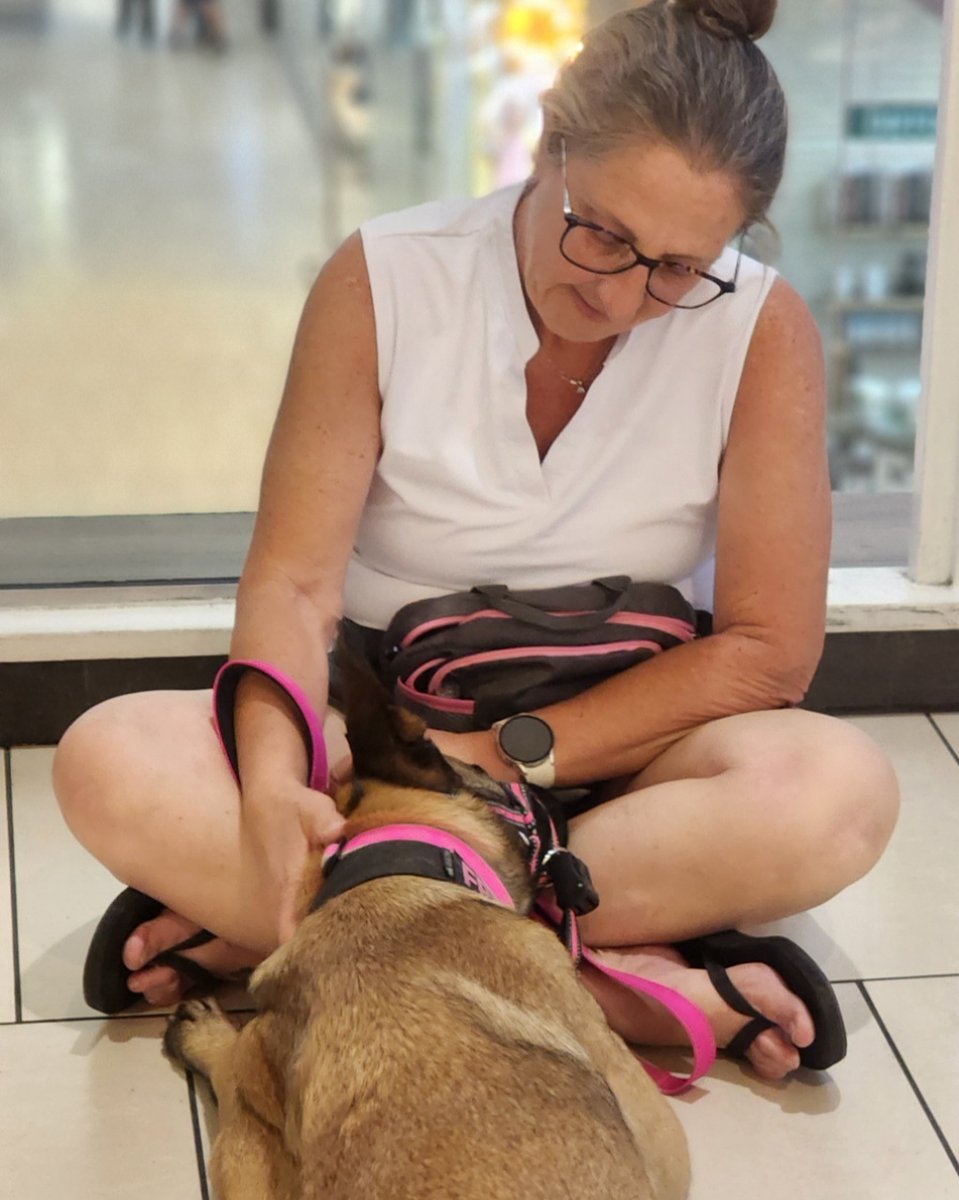 LegendAcres's tweet image. This is what calm looks like.

Not perfect behavior.

Not silence.

A dog that can settle even when life is happening around them.

That is trained.

That is built.

That is repeatable.

#CalmDog #DogTrainingAZ #LegendAcres #urbandog #akccgcu