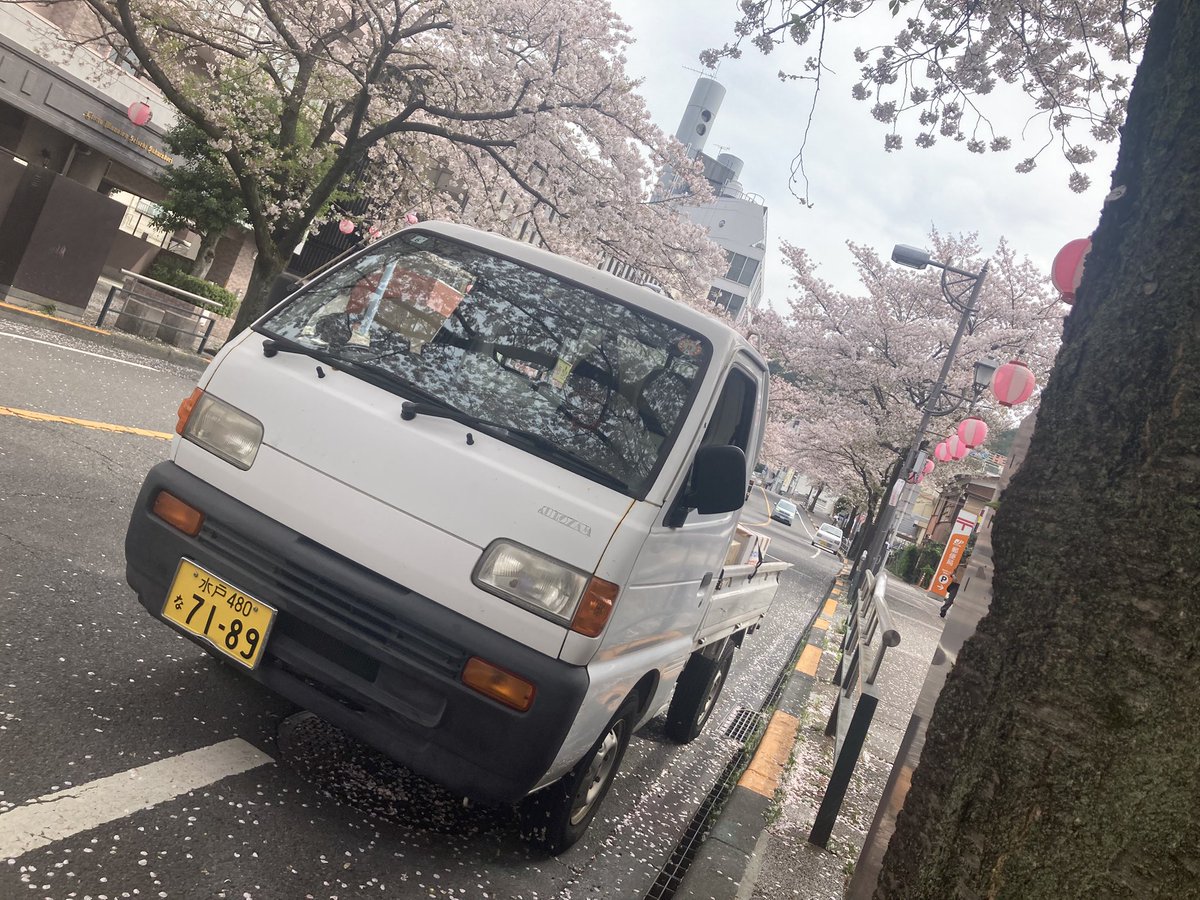 Official弱男dism tweet media