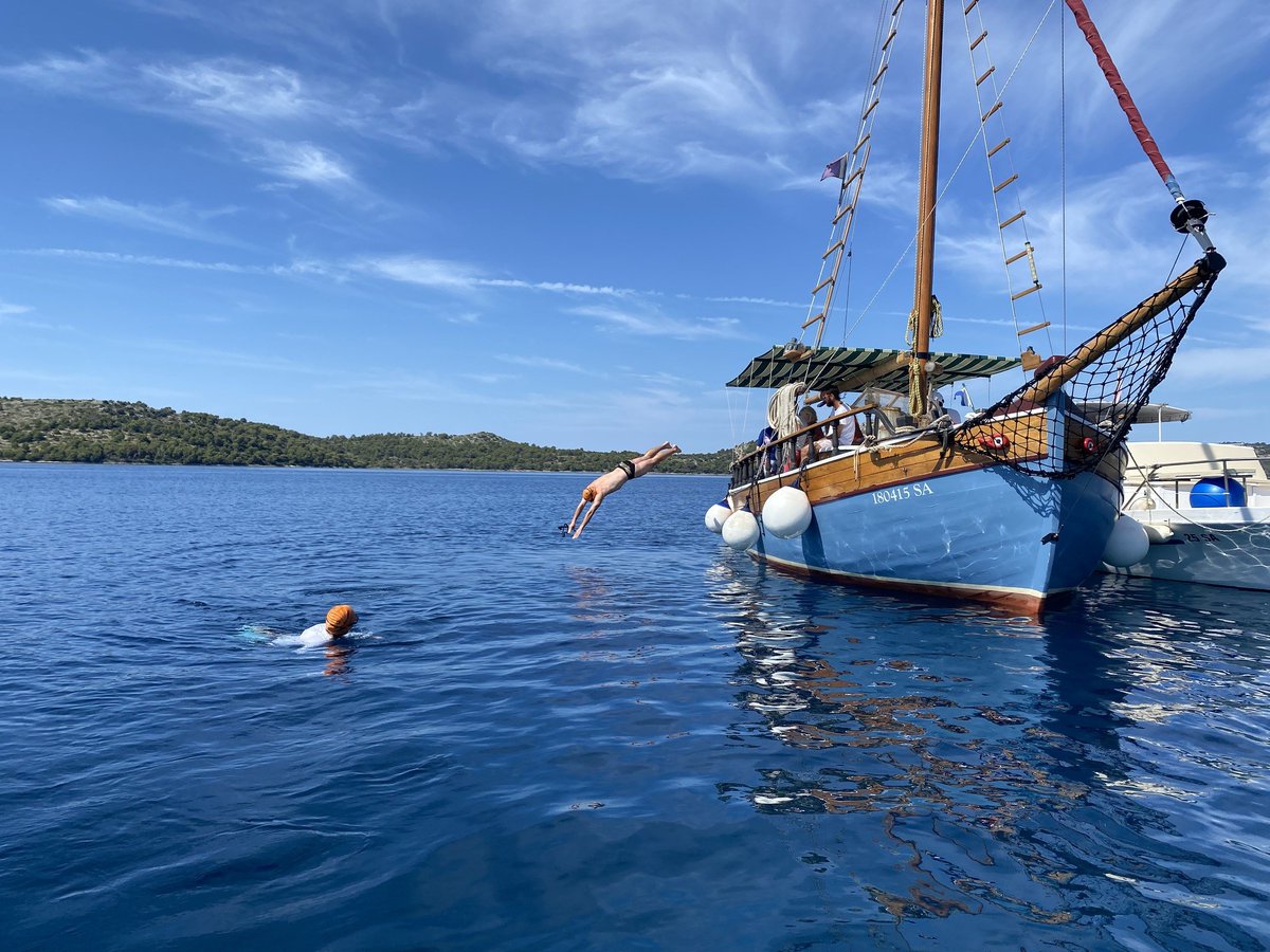 SwimTrek tweet media