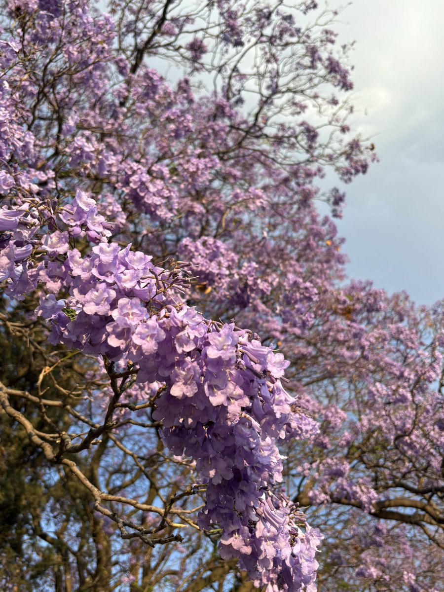 E🌙🩵 tweet media