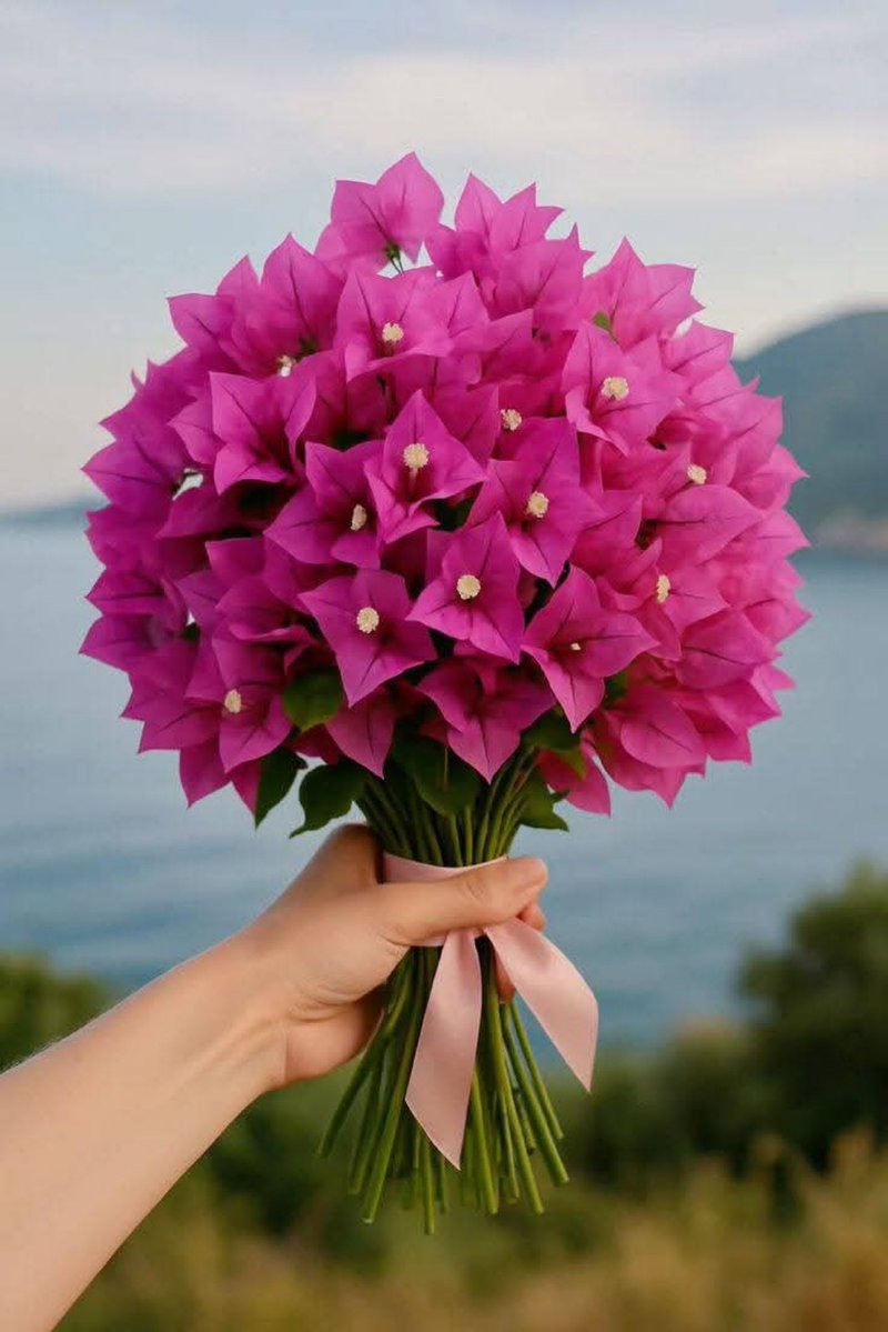 Ineke Vonk tweet media