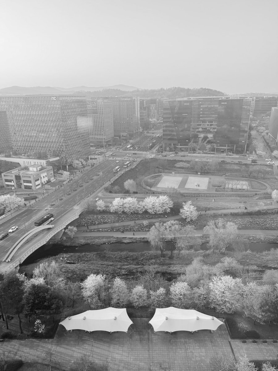 seima💫 tweet media