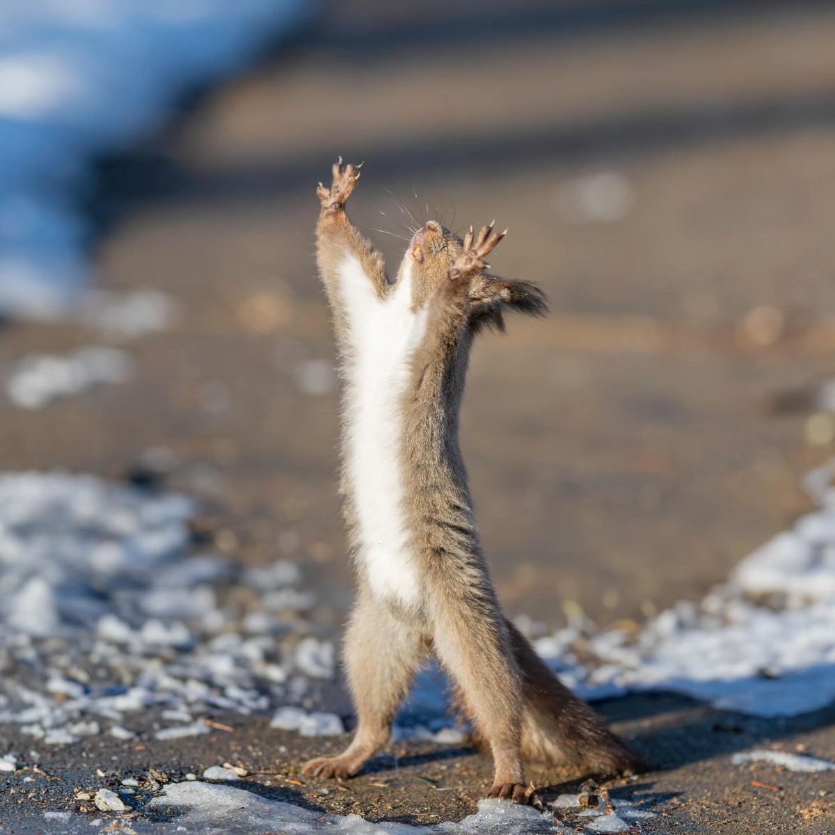 東京カメラ部 tweet media