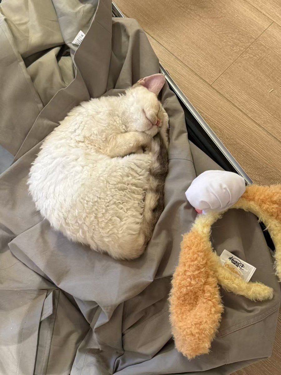 Carlee Marie Ruffner tweet media