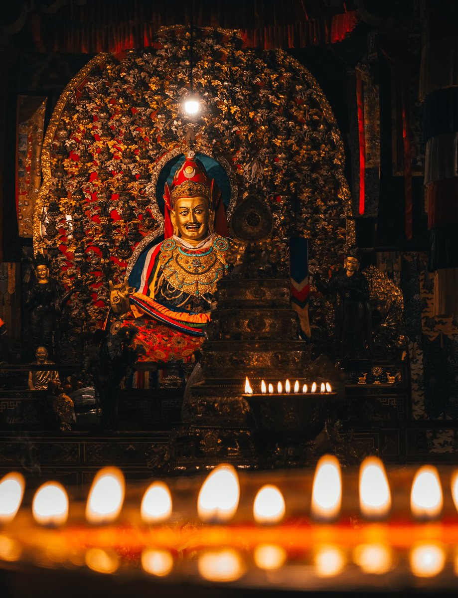 blackhumor tweet media