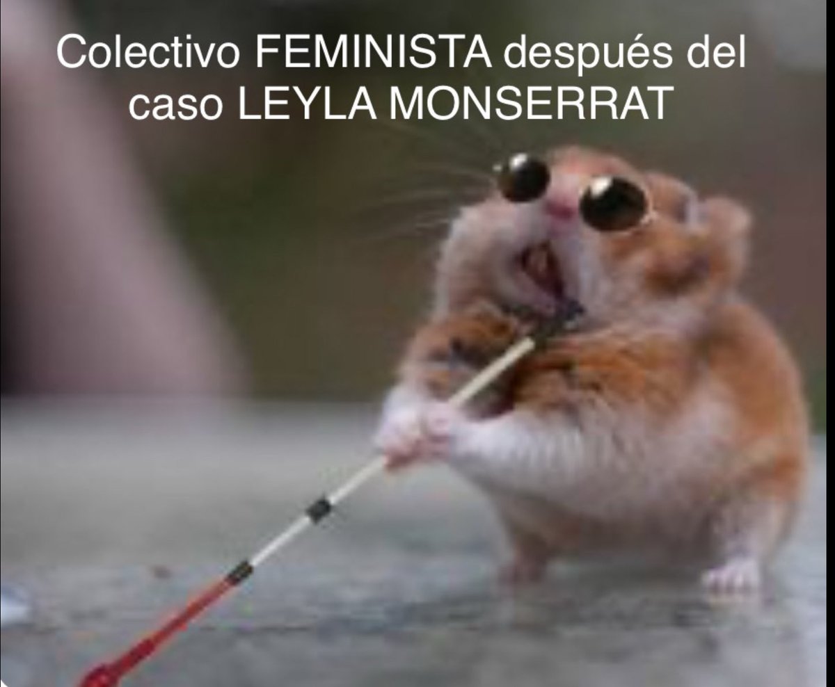 Tu juguete Fiel tweet media