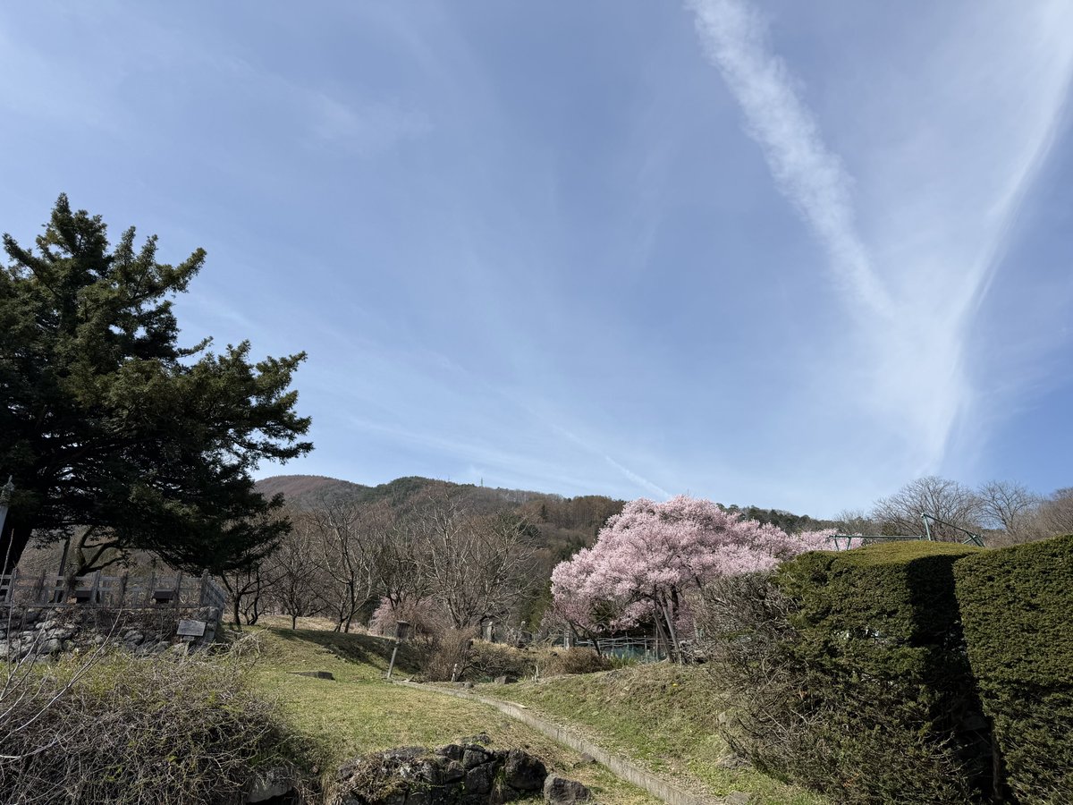 はっつん🐝 tweet media