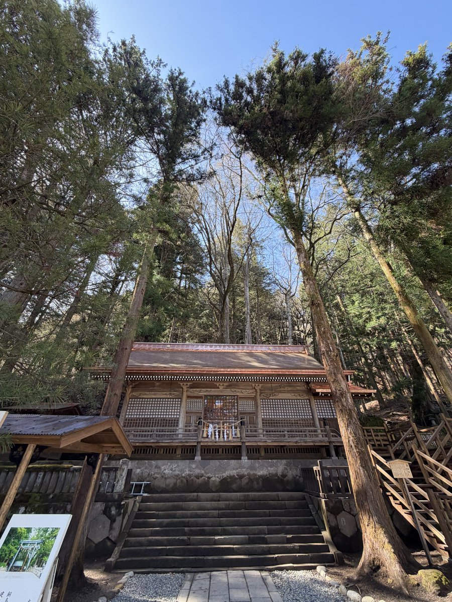 はっつん🐝 tweet media