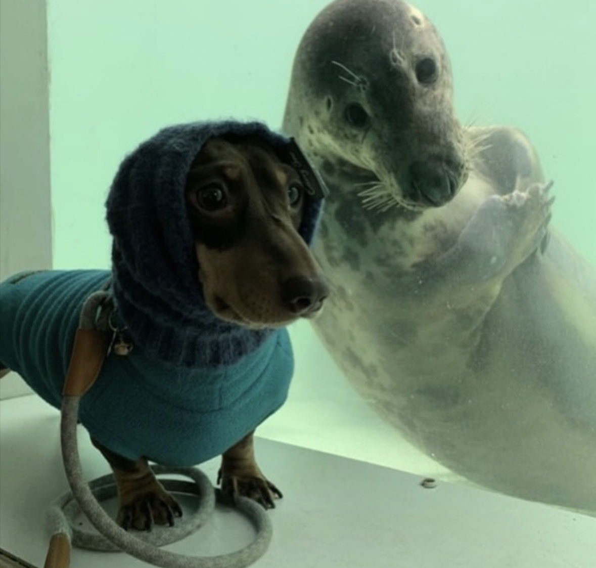 마리나 tweet media