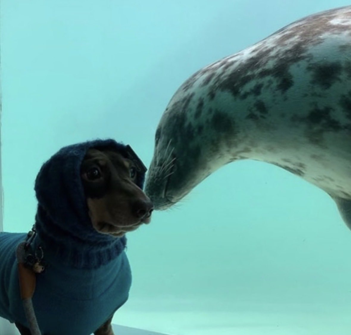 마리나 tweet media