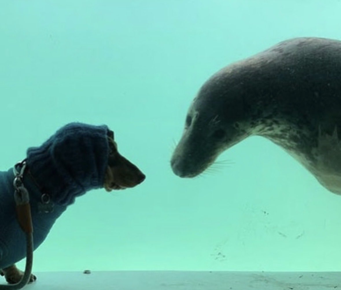 마리나 tweet media