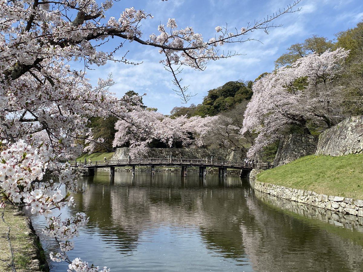 猫尾 かおり tweet media