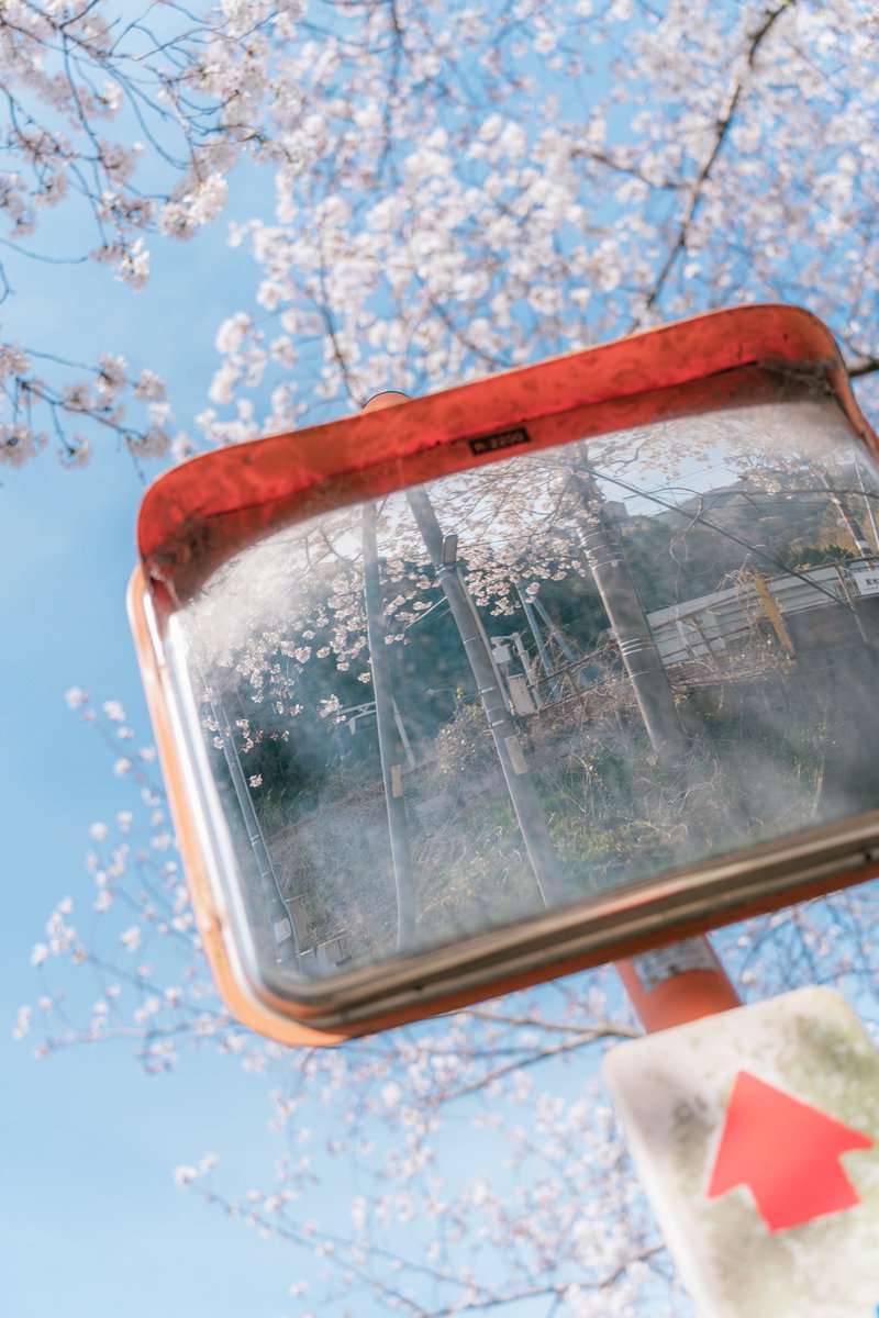 hiroto_camera_y's tweet photo. 桜の駅

#写真 #写真好きな人と繋がりたい #カメラ好きな人と繋がりたい #photography https://t.co/QZKvgIakBn