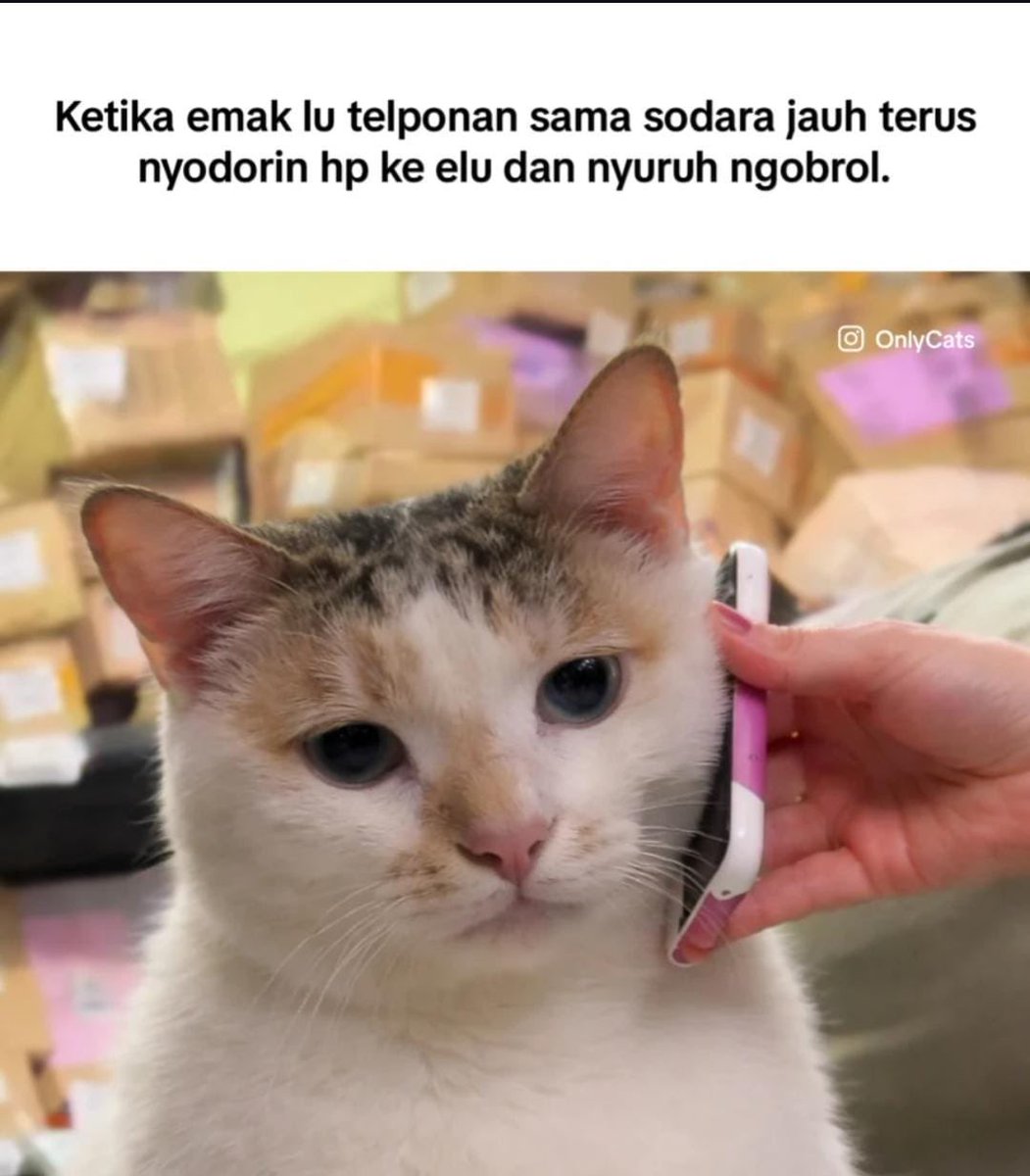 pagi ke malam selalu ready tweet media