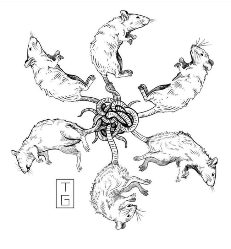 Karrver ✂️ SHEDtwt || SH Recovery tweet media