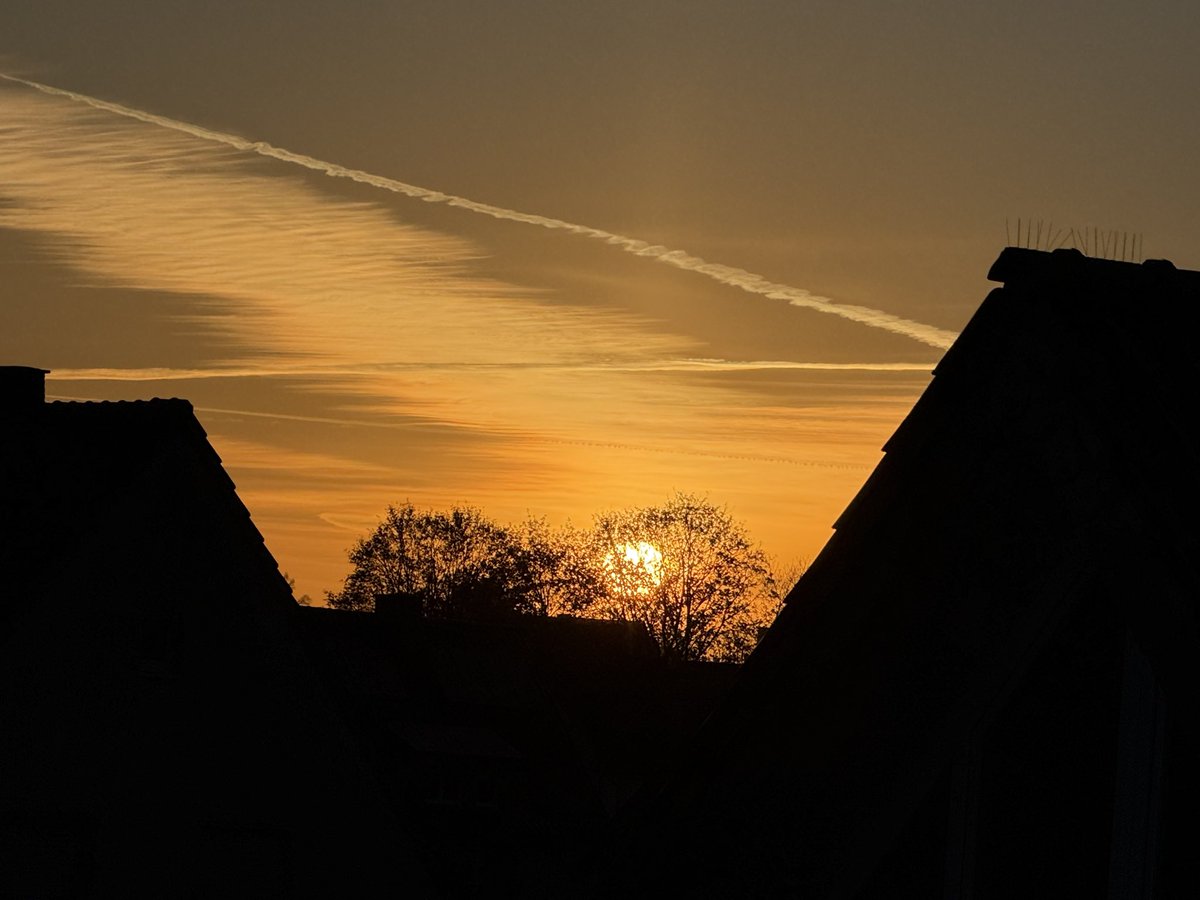 Anja Mueller tweet media